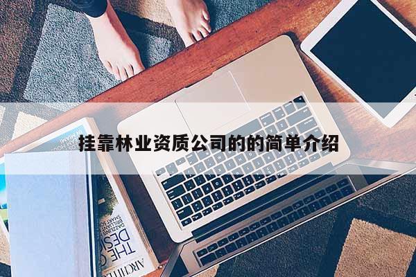 掛靠林業(yè)資質公司的的簡單介紹